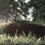 auto-news-1778969893.jpg