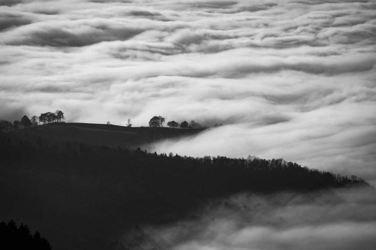 auto-news-1779715149.jpg